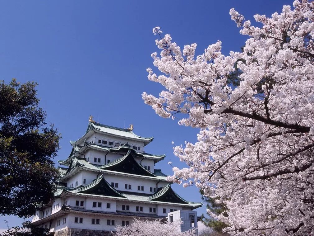 东京旅游攻略自由行费用_日本旅游东京自由行_东京旅游自由行日本人能去吗