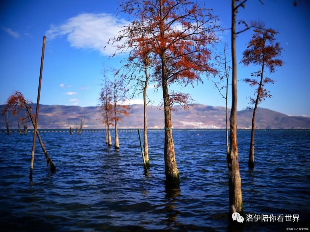 大理双廊旅游景点推荐_大理双廊自由行推荐_大理双廊好玩的地方