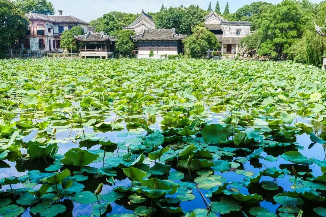 古镇旅游推荐塘栖游玩_古镇旅游推荐塘栖景点_塘栖古镇旅游推荐