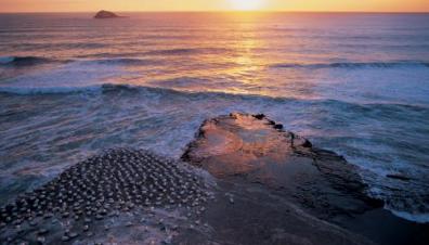 新西兰北岛地图位置_新西兰北岛旅游线路_新西兰北岛旅游景点