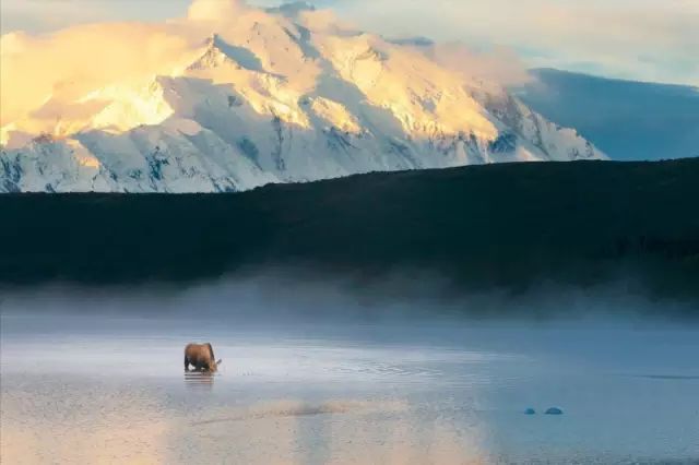 世界岩石景点_全球四大岩石景点_岩石风景区有开放吗