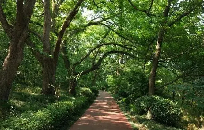 全球旅游景区_全球前十大旅游景点有哪些国家_全球国家旅游排名