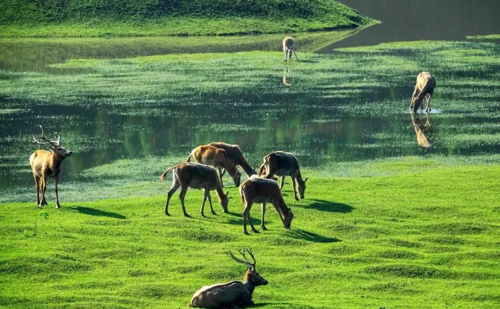 全球旅游景区_全球国家旅游排名_全球前十大旅游景点有哪些国家