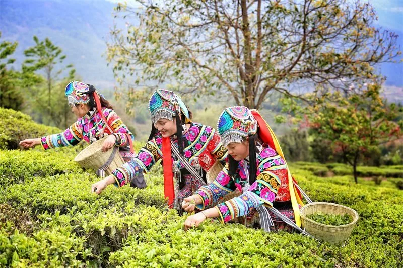 石头旅游景点_石头旅游必去景点_石头特色旅游