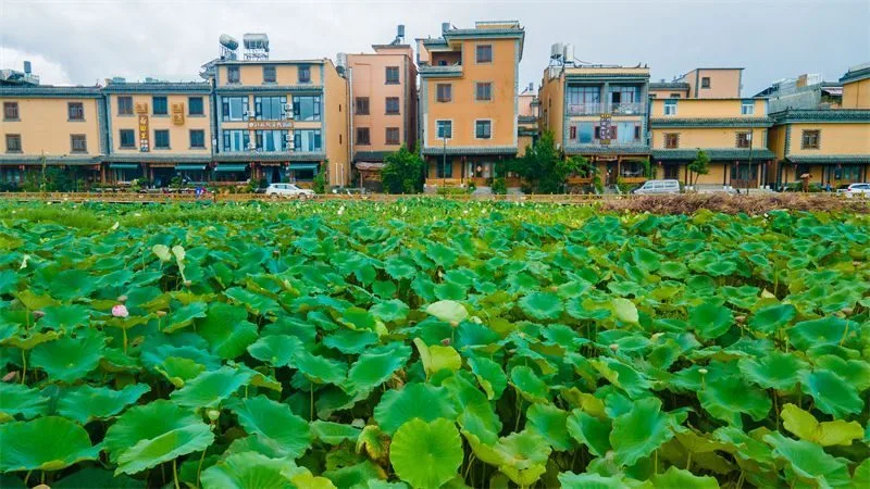 石头旅游必去景点_石头特色旅游_石头旅游景点