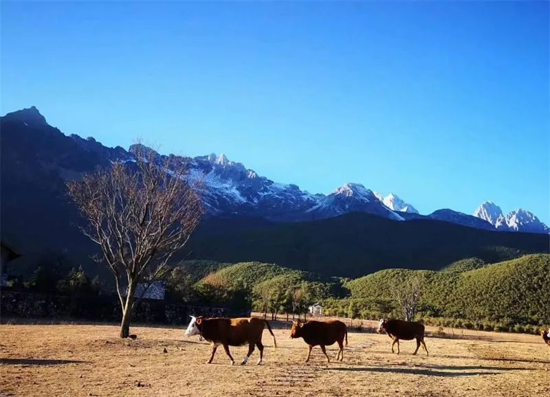 石头特色旅游_石头旅游景点_石头旅游必去景点