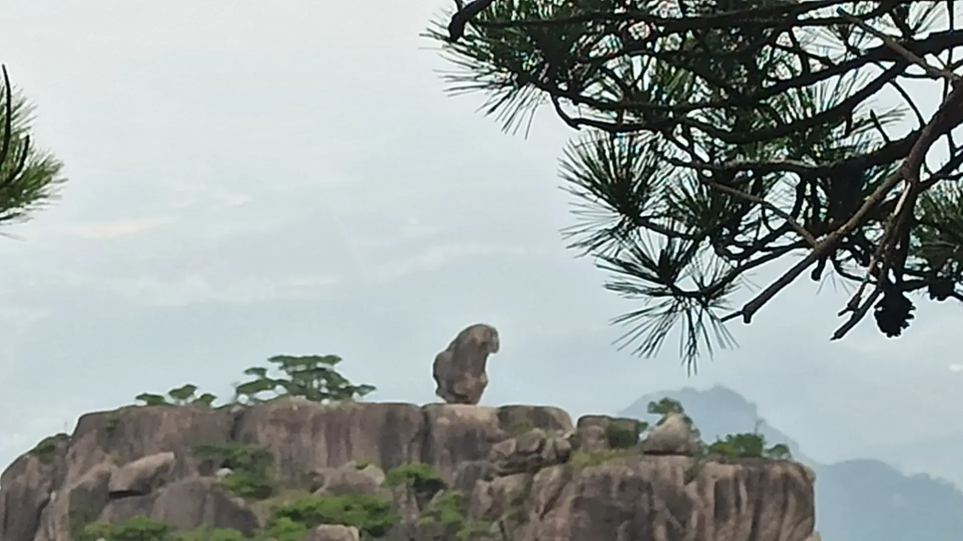 自由和旅游_自由和旅游_自由和旅游