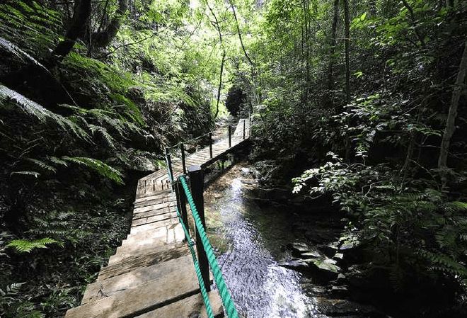 公司到日本旅游团建什么_跟团日本游_旅游团日本