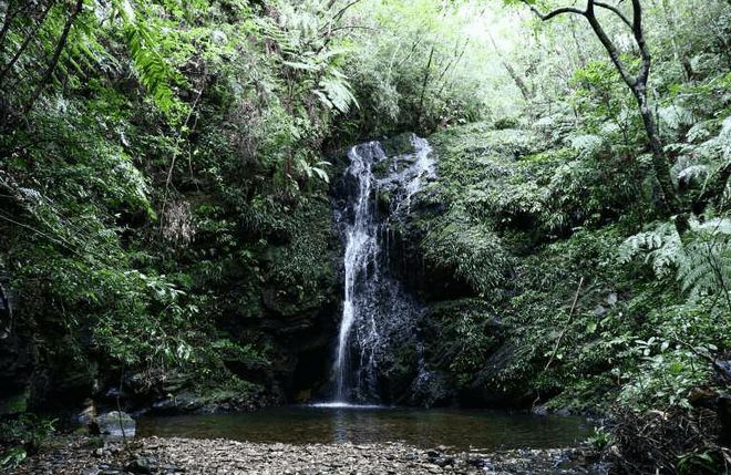 跟团日本游_旅游团日本_公司到日本旅游团建什么