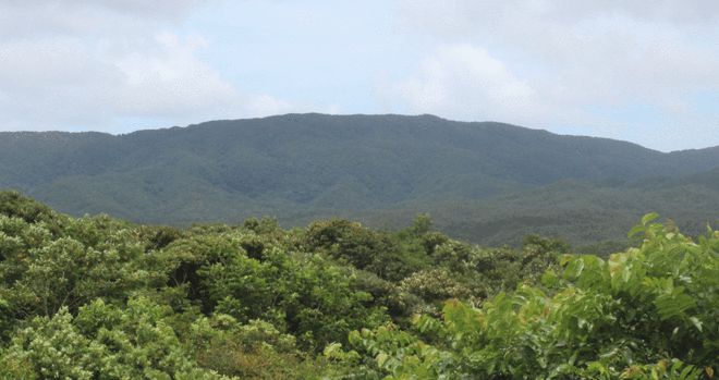 旅游团日本_公司到日本旅游团建什么_跟团日本游