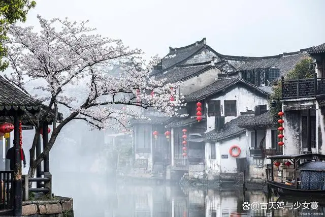 苏杭旅游哪个季节合适_苏杭适合什么时候去_去苏杭旅游最佳季节