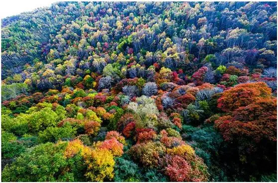 自驾井底村收费吗_井底村旅游景点门票_井底村自驾游