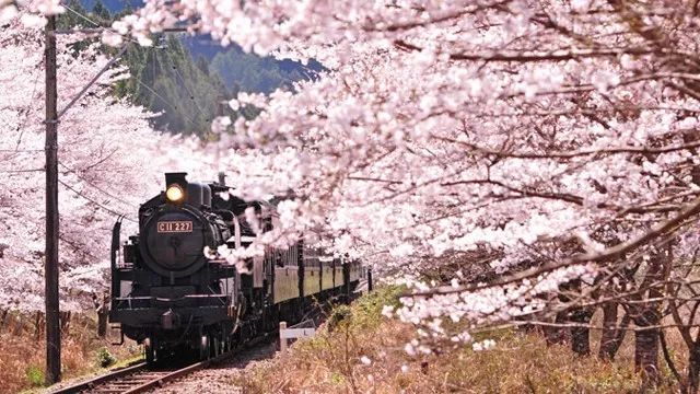 神户最佳旅游季节_神户最佳旅游季节_神户最佳旅游季节