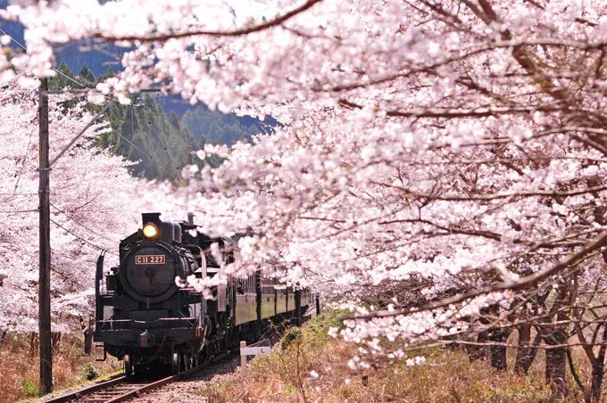 神户最佳旅游季节_神户最佳旅游季节_神户最佳旅游季节