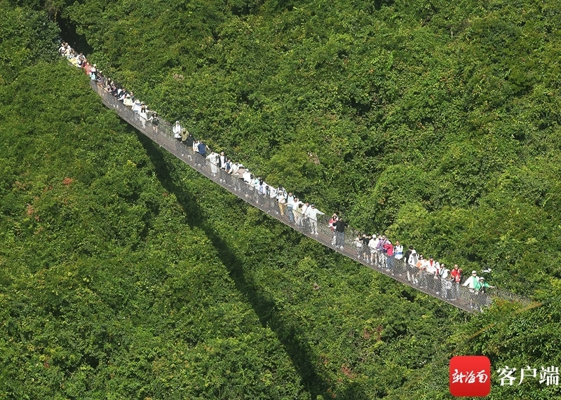 新闻三亚近期旅游报道_三亚近期旅游情况_三亚近期旅游新闻