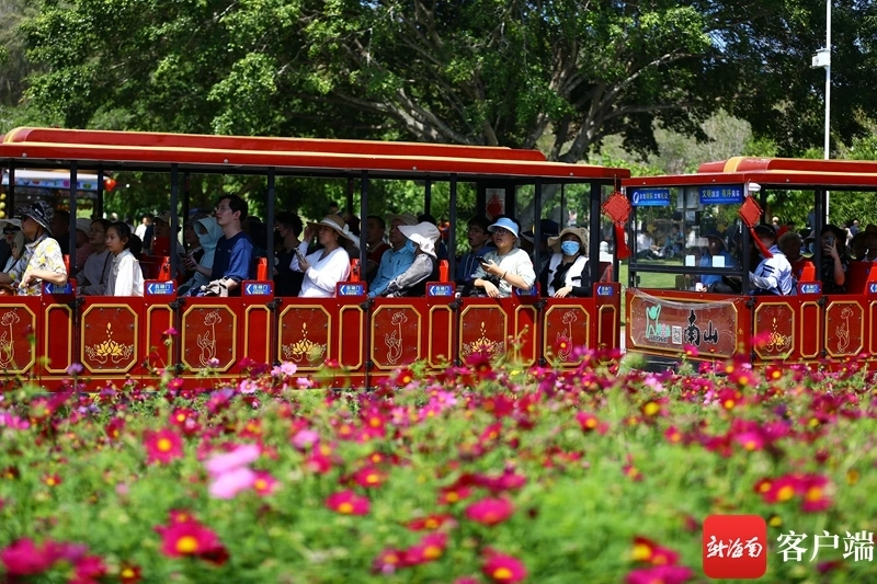 三亚近期旅游新闻_三亚近期旅游情况_新闻三亚近期旅游报道