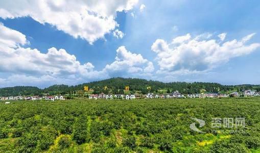 资阳旅游攻略_资阳旅游线路推荐_资阳旅游景点