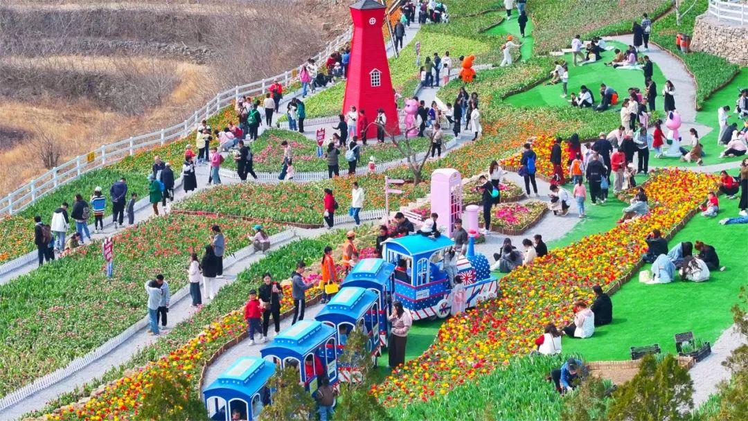 西北旅游攻略及景点介绍_赏花时节旅游景点介绍_张家口市旅游安家沟景点介绍