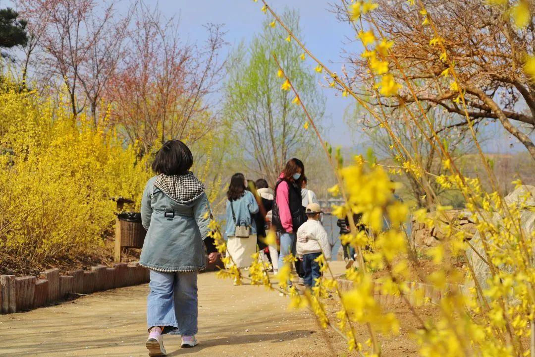 赏花时节旅游景点介绍_西北旅游攻略及景点介绍_张家口市旅游安家沟景点介绍