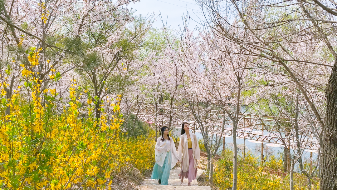 张家口市旅游安家沟景点介绍_西北旅游攻略及景点介绍_赏花时节旅游景点介绍