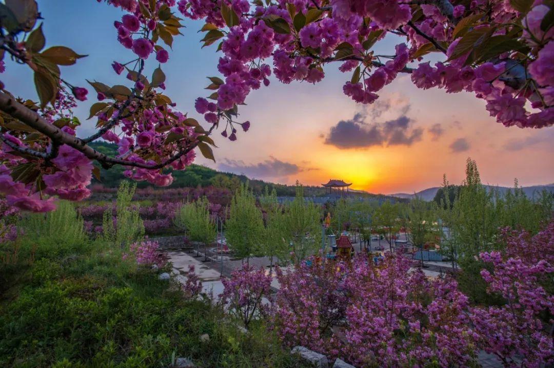 赏花时节旅游景点介绍_西北旅游攻略及景点介绍_张家口市旅游安家沟景点介绍