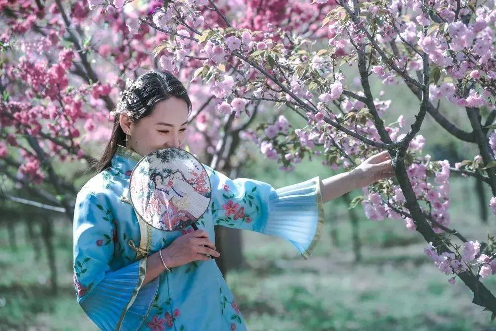 西北旅游攻略及景点介绍_赏花时节旅游景点介绍_张家口市旅游安家沟景点介绍