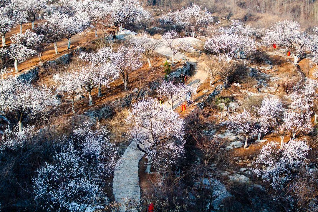 张家口市旅游安家沟景点介绍_赏花时节旅游景点介绍_西北旅游攻略及景点介绍