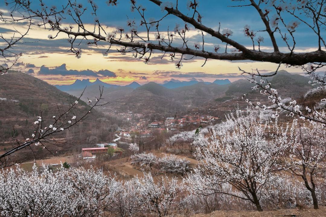 赏花时节旅游景点介绍_张家口市旅游安家沟景点介绍_西北旅游攻略及景点介绍