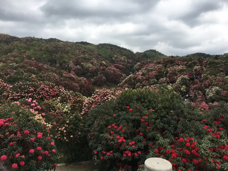 贵州特色旅游景点_贵州特色旅游地区排名_贵州特色旅游地区