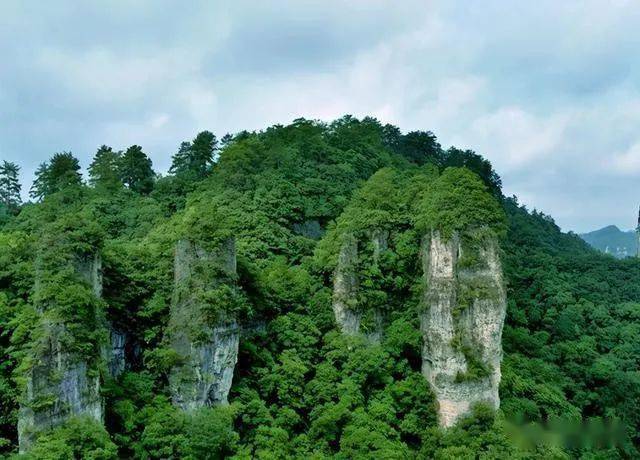 贵州生态文明国际论坛_全球十大生态文明旅游景点贵州_贵州生态文明宣传片