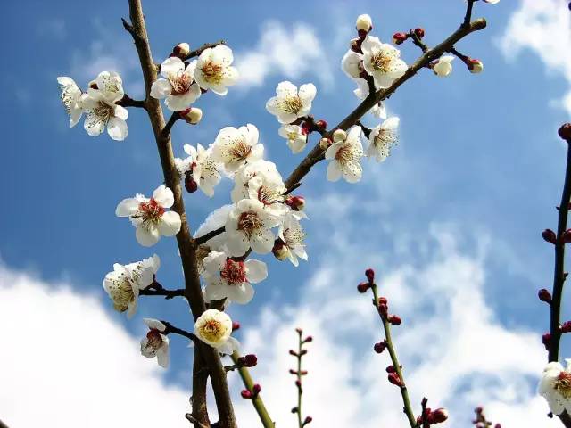 江苏情侣旅游景点排行_适合情侣旅游的国内景点江苏_江苏情侣夏季旅游