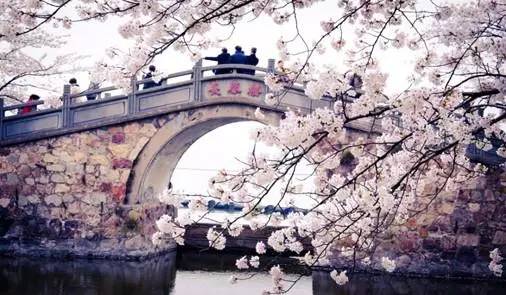 江苏情侣夏季旅游_江苏情侣旅游景点排行_适合情侣旅游的国内景点江苏