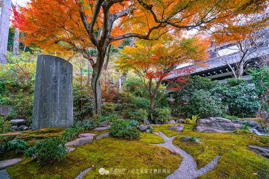 秋天去日本哪里最好玩_季节深秋旅游日本好玩吗_日本深秋季节旅游