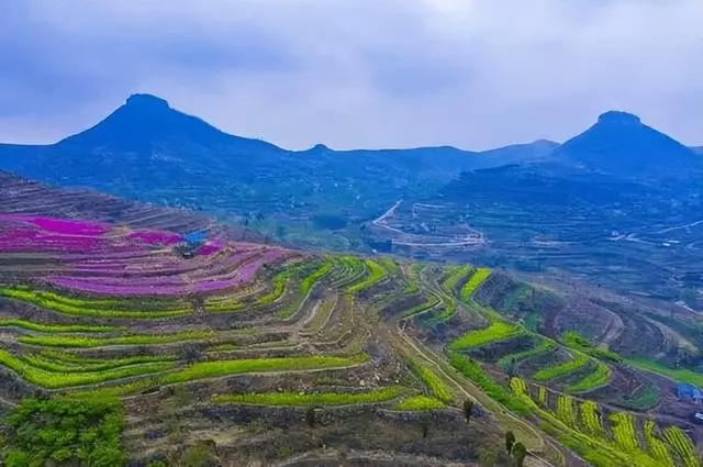 山东省旅游特色资源与优势_山东生态旅游特色_山东生态旅游景区