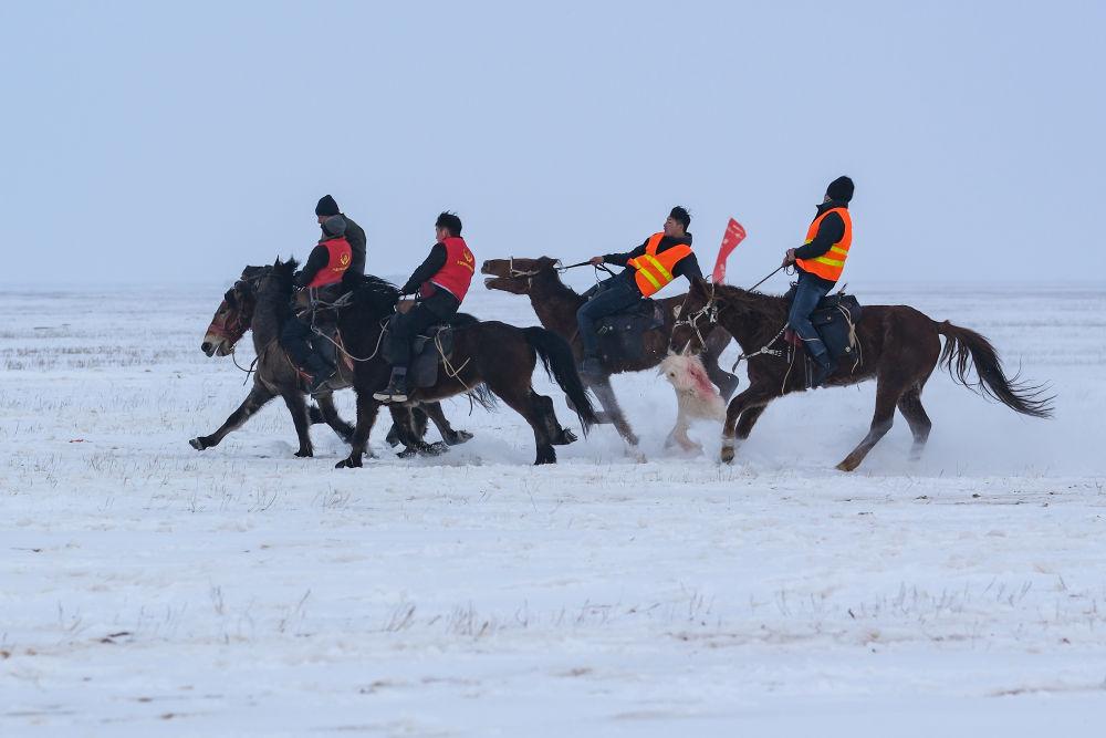 新疆冰雪旅游资源有哪些_新疆冰雪旅游的好时节有哪些_新疆冰雪旅游政策优势