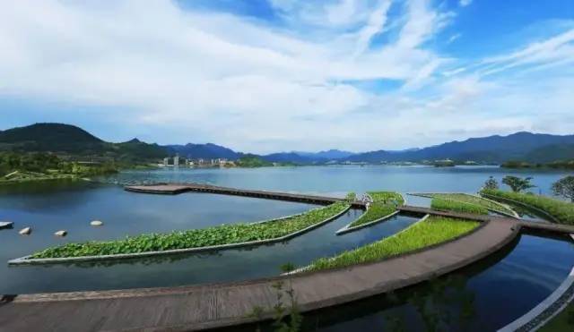 千岛湖旅游景点有哪些_千岛湖有哪些风景_千岛湖游玩地方