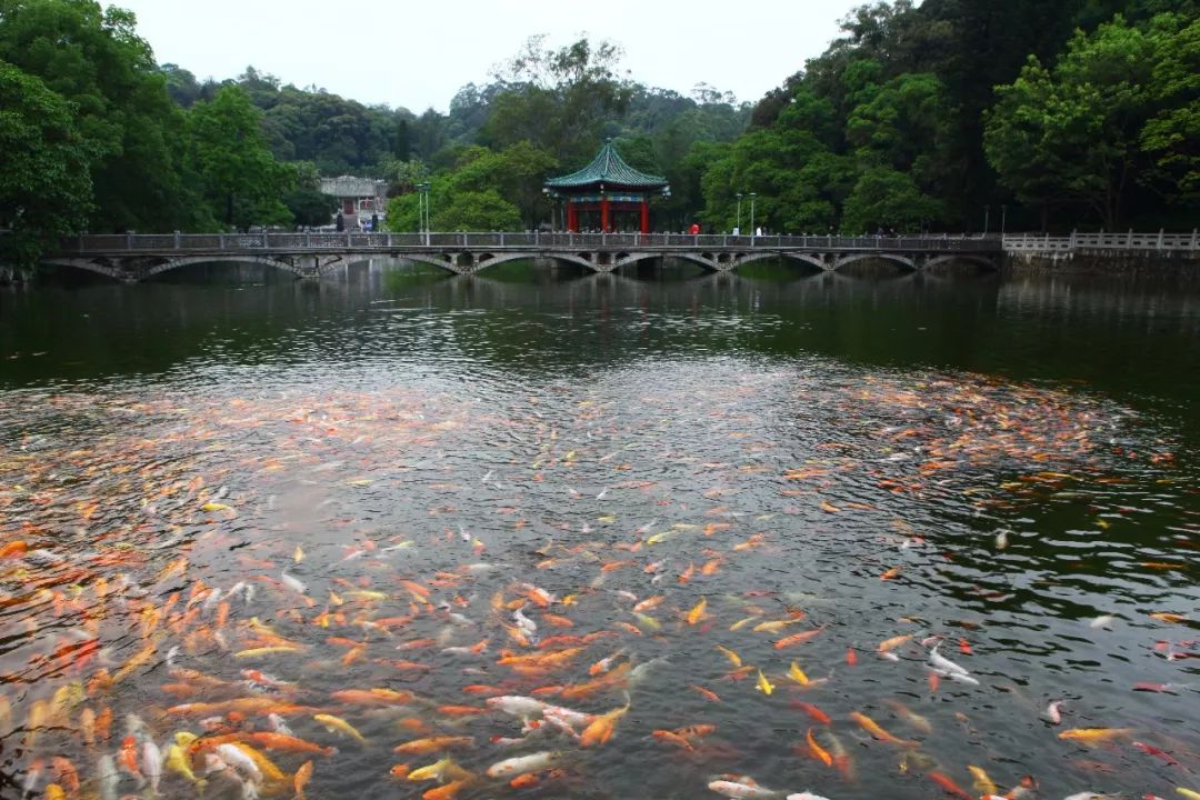 广州情侣休闲旅游_适合情侣去玩的地方广州_情侣广州游玩攻略