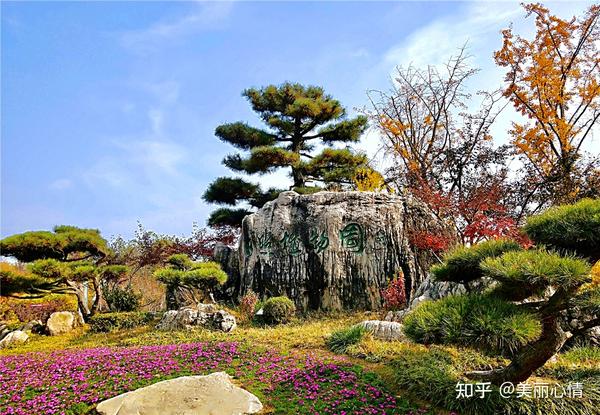 日照市免费的旅游景点_日照旅游免费景点哪里好玩_日照景点免费旅游市场有哪些