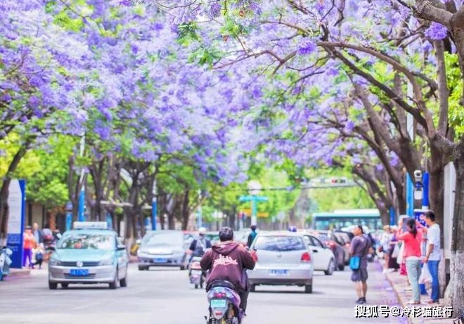 6月适合一个人旅游城市_每月适合旅游的城市_旅游最适合的城市说说