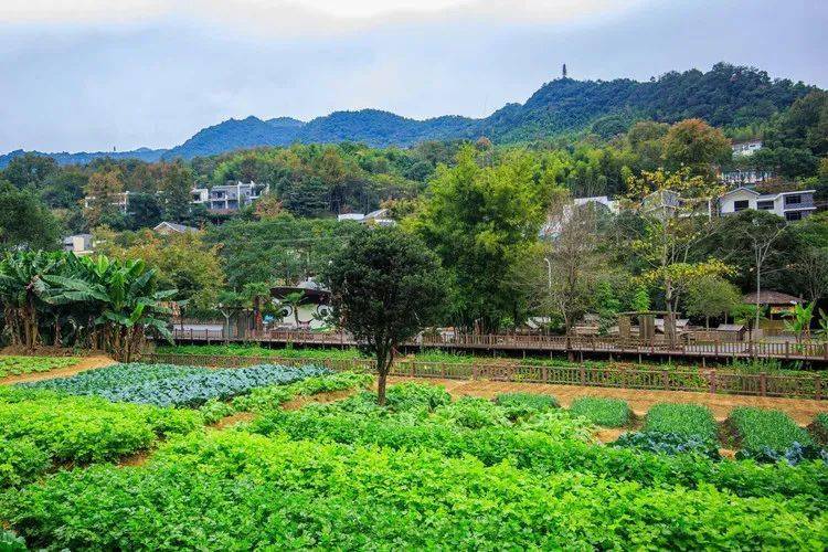 赣州景点季节适合旅游_赣州夏季游玩_赣州适合旅游的地方