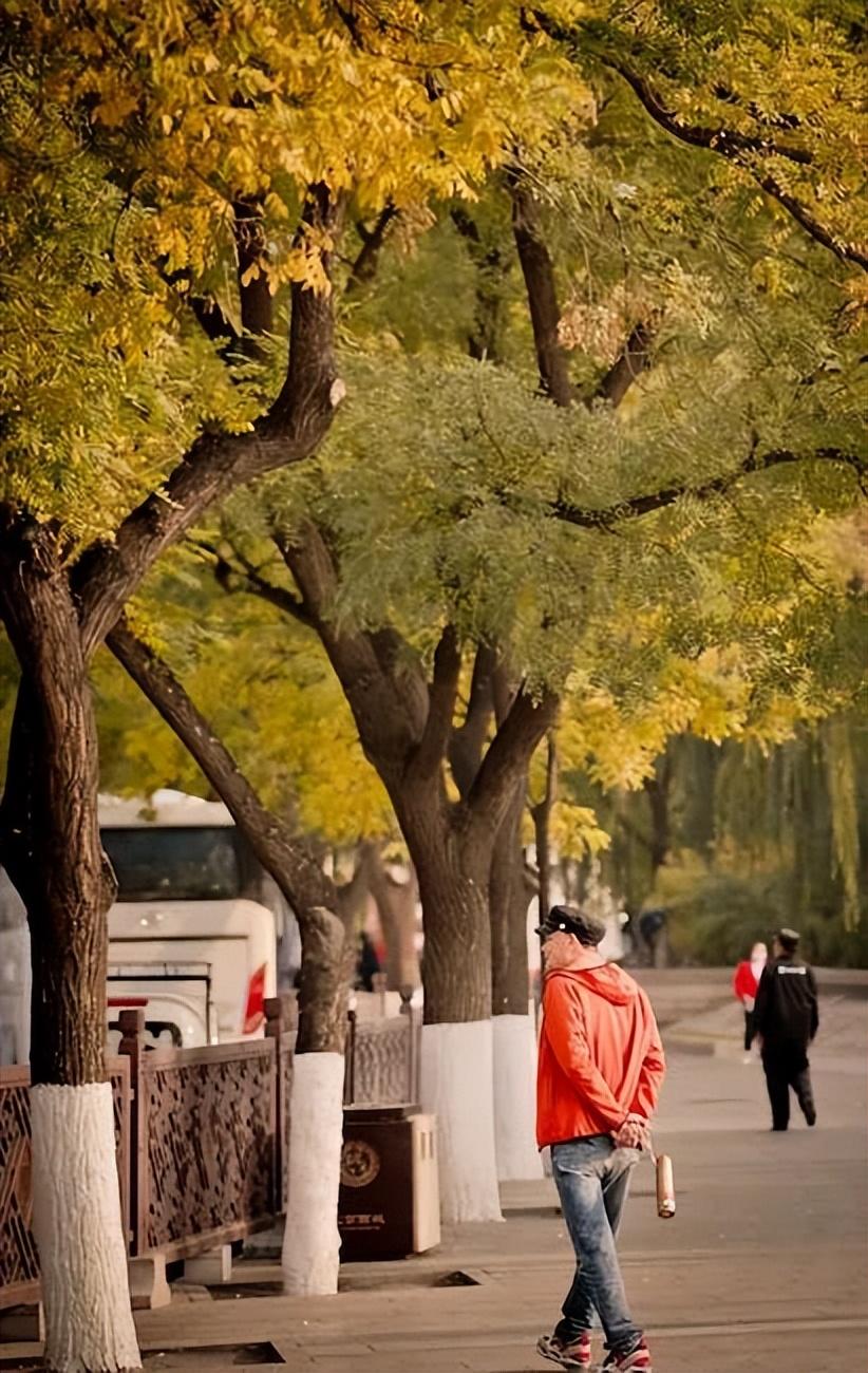 去南京旅游的最佳时节是_南京最合适的旅游季节_南京旅游哪个季节最好的选择