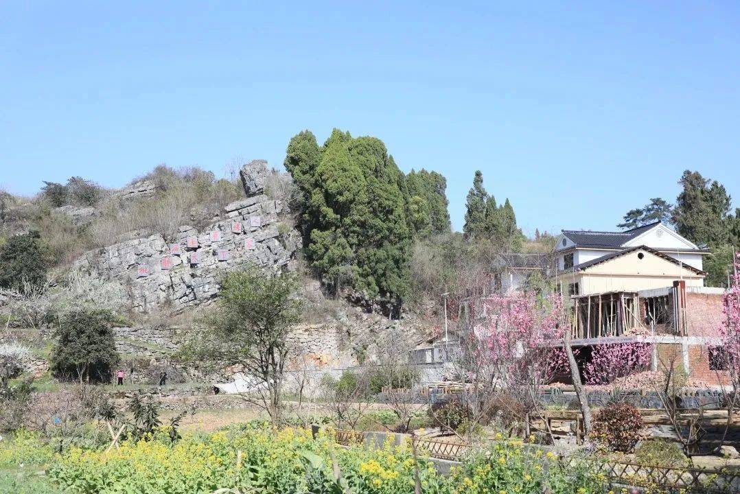 修水旅游网_江西修水旅游景点大全_修水县旅游景点