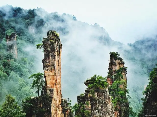 大同到张家界的旅游行程_大同到张家界旅游攻略_大同到张家界旅游团