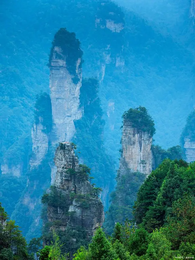 大同到张家界旅游团_大同到张家界旅游攻略_大同到张家界的旅游行程