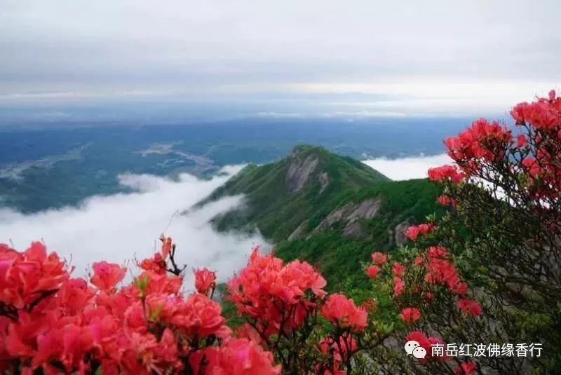 衡山旅游景点路线_衡山旅游线路图_衡山 旅游线路