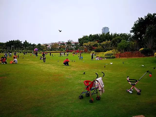 嘉兴去厦门旅游自由吗_嘉兴市内旅游_嘉兴的旅游攻略