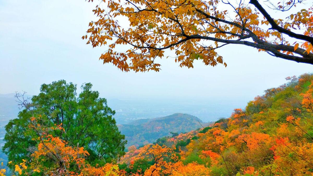 秋天季节旅游适合去哪里_秋天季节旅游适合去哪里玩_秋天季节适合去哪里旅游