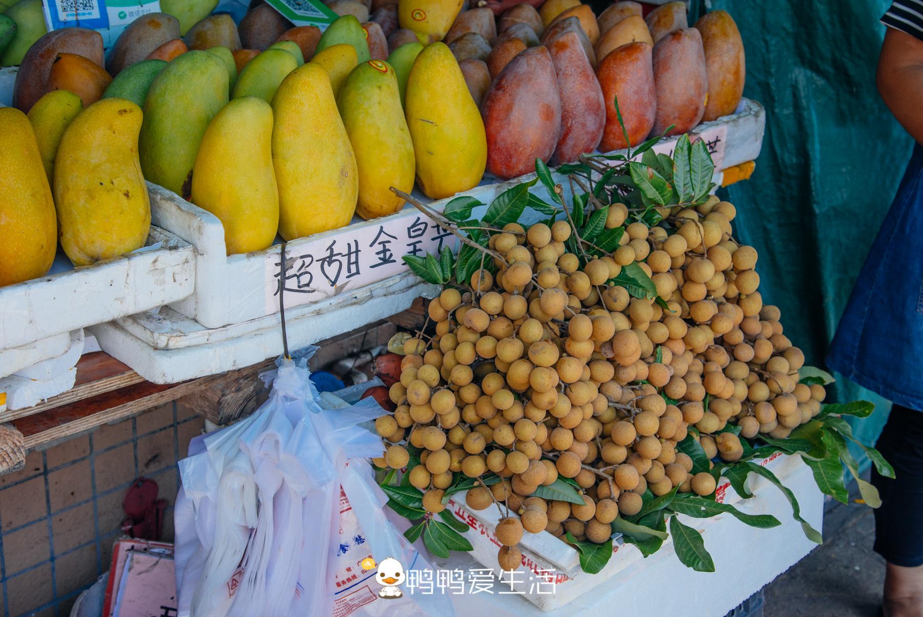 广州南沙旅游景点推荐_广州旅游南沙必去十大景点_广州南沙旅游区景点