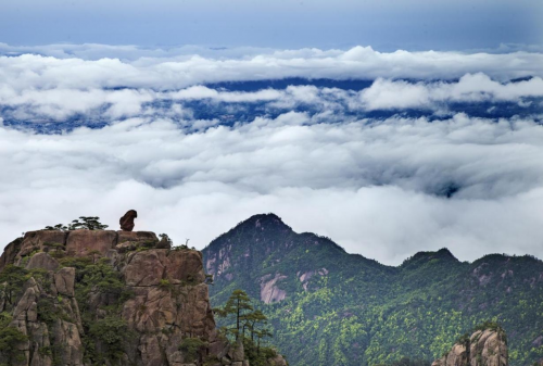 旅游景点游玩_上旅游景点_景点旅游上午去还是下午去