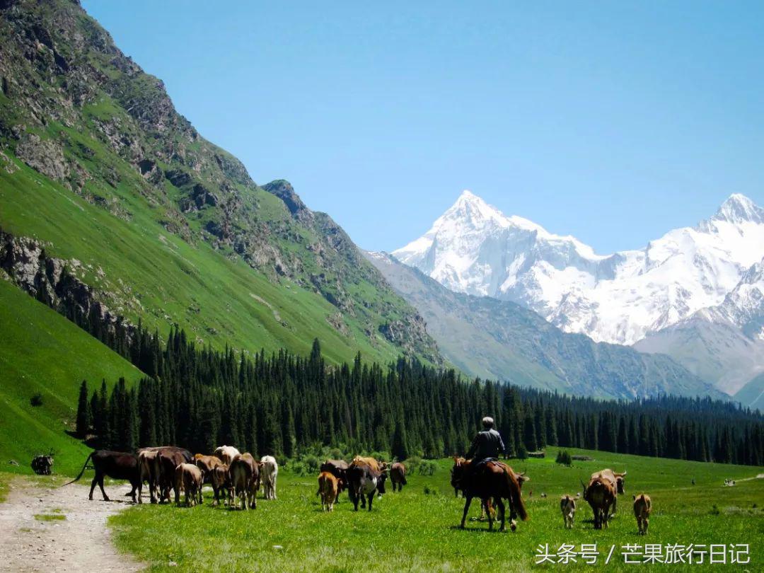 上旅游景点_旅游景点游玩_旅游景点的门